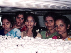 Classic Mushroom Farm  -India